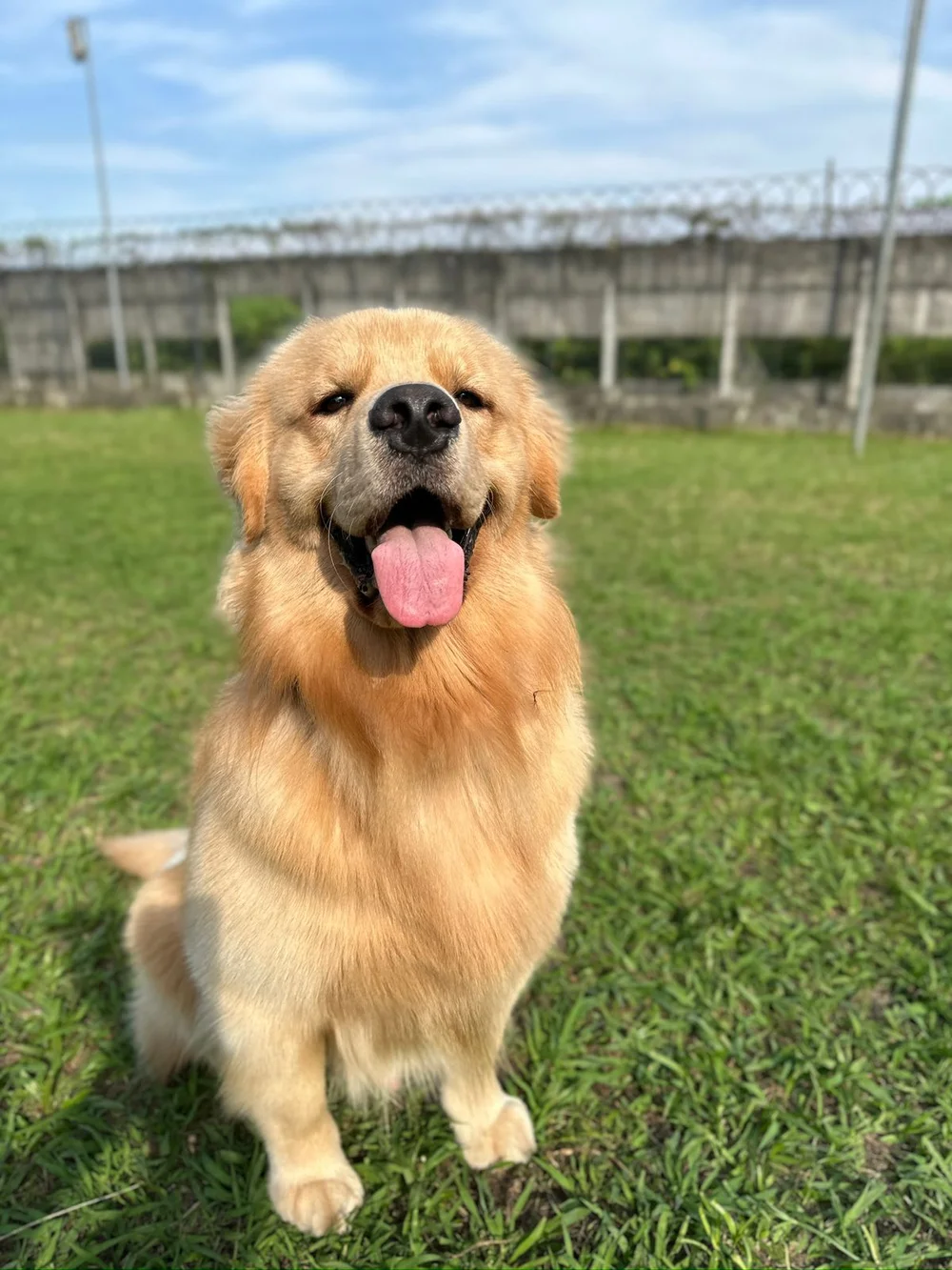 Buck feliz em um momento especial